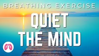 Breathing Exercises with Guided Meditation  5 Minutes  TAKE A DEEP BREATH [upl. by Aninahs274]