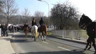 Pferdemarkt Bad Mergentheim 20133Horses马Pferde VideoCavalli马匹 Konie chevaux cavalos 馬말 [upl. by Ardnuassak190]