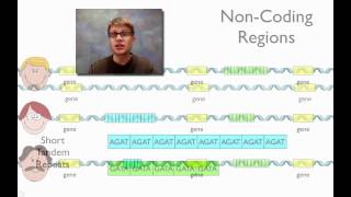 DNA Fingerprinting [upl. by Anifled]