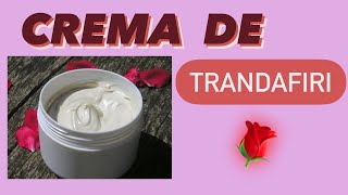 CREMA ANTIRID DE TRANDAFIRI SI MIERE [upl. by Higginbotham185]