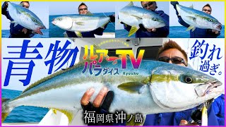 【ルアパラTV】”筋肉痛”確実の青物ド連発ゲームin福岡県沖ノ島【ネコメタル】 [upl. by Nowtna]