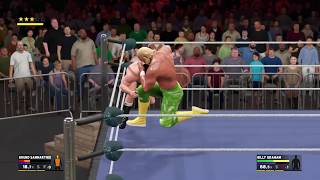 Superstar Billy Graham vs Bruno Sammartino 2 WWWF Championship [upl. by Ydnim903]