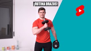 Rutina de Brazos con Mancuernas 💪 Bíceps y Tríceps más GRANDES 🔥💯 [upl. by Ertnod]