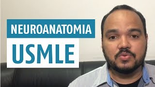 COMO ESTUDAR Neuroanatomia Básica USMLE [upl. by Novj]