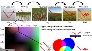 AGRICULTURAL FIELDS MONITORING WITH MULTI TEMPORAL POLARIMETRIC SAR CHANGE DETECTION [upl. by Aidnac]