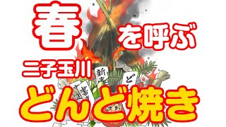 「二子玉川 どんど焼き」2020〜多摩川河川敷・世田谷区鎌田〜 [upl. by Ileray191]