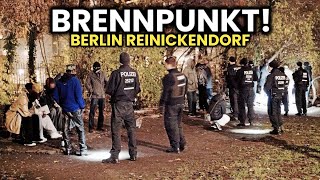 Die gefährlichsten Ecken in Berlin Reinickendorf 😱🔥 100 Migration [upl. by Rufena]