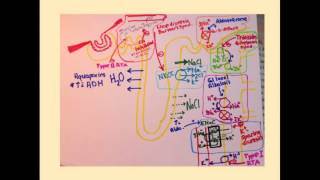 Renal Tubular Acidosis  CRASH Medical Review Series [upl. by Flodnar851]