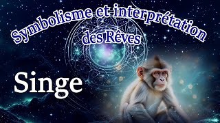 Symbolisme et interprétation de rêve de singe [upl. by Marylou]