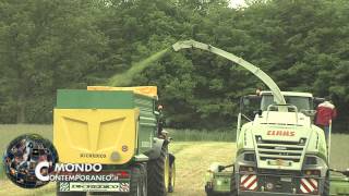 castelfranco in miscano semina su sodo azienda marcantonio aipas [upl. by Fabriane]