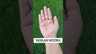 2 Yoga Mudras for Alzhemiers Disease  Vyaan Mudra  Gyan Mudra [upl. by Yorztif]