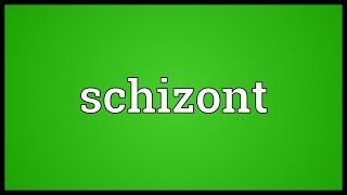 Schizont Meaning [upl. by Carpio964]