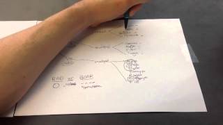 DNA and RNA Viruses Mnemonic for USMLE Step 1 [upl. by Columbine]