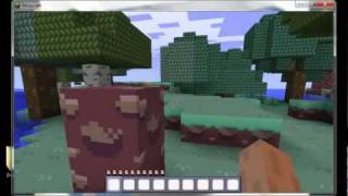 Minecraft  How to install Pokecraft [upl. by Haslett]