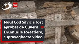 Noul Cod Silvic a fost aprobat de Guvern Drumurile forestiere supravegheate video [upl. by Niwri296]