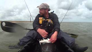 Kayak Fishing Sea Palling Bass lure Trolling New [upl. by Haila]