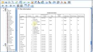 S01E0415 SPSS Basics  Codebook [upl. by Obbard]