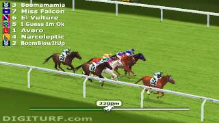 Best Virtual Horse Racing Game [upl. by Eneri]