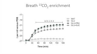 Exogenous Carbohydrate Oxidation Advanced [upl. by Anawot494]