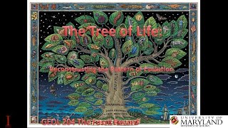 Lecture 8 The Tree of Life Reconstructing the Pattern of Evolution [upl. by Inhsor870]