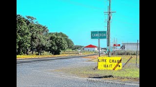 Crabs in Cameron Louisiana [upl. by Ellatnahc]