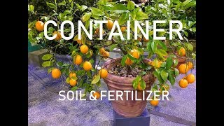 Proper Soil amp Fertilizer for CONTAINER Fruit Trees [upl. by Amoihc]