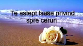 Teastept Isuse privind spre ceruri Negativ [upl. by Call]