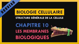 Structure générale de la cellule Chapitre 10 Les membranes biologiques [upl. by Walrath545]