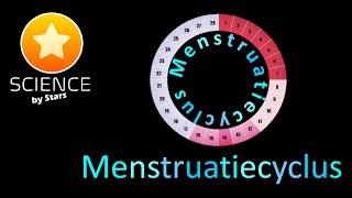 Menstruatiecyclus  menstruele cyclus [upl. by Hibben192]