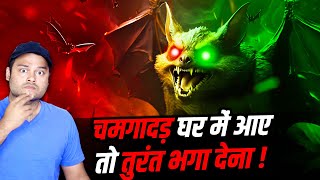 चमगादड़ 🦇 घर में आना अशुभ क्यों माना जाता है 🏠 Where Does Bat Superstition Come From Many Facts [upl. by Inaflahk]