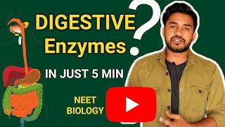 Digestive enzymes  in hindi  digestion and absorption Human physiology  neet2020 biology [upl. by Aneleh]