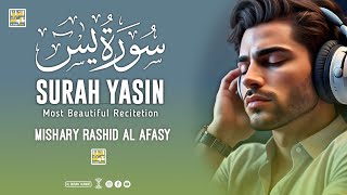 Surah Yasin سورة يسن সূরা ইয়াসীন Most Beautiful Recitation By Mishary Rashi Alafasy [upl. by Eedeed619]