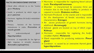 FACTS ABOUT ENDOCRINE SYSTEM [upl. by Philoo]