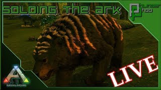 Soloing the Ark  LIVE  Searching for Sir Corgi Wigglebutt [upl. by Broeder498]