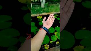 Hand gesture 😍 shorts song video viralvideo trending [upl. by Ennaitsirk]