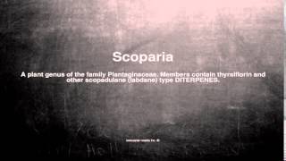 Medical vocabulary What does Scoparia mean [upl. by Assirialc]