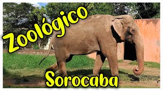 ZOOLÓGICO DE SOROCABA  PASSEIO EM FAMÍLIA  Família Gaspar [upl. by Errol]