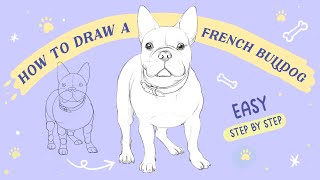 How to draw a French Bulldog EASY Step by Step for Beginners [upl. by Kiel]