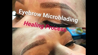 Eyebrow Microblading  Healing Process [upl. by Sinaj763]