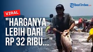 Viral Nelayan di Pantai Batu Karas Pangandaran Panen Ikan Kakap Merah [upl. by Ahsiuqal207]