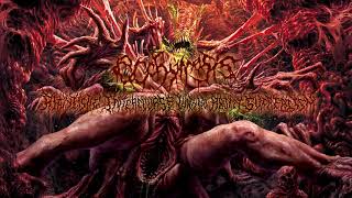 ECCHYMOSIS  Ritualistic Intercourse Within Abject Surrealism full album [upl. by Ahsinuq]