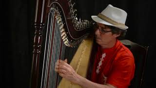 Harpist Nicolas Carter plays original composition [upl. by Occor]