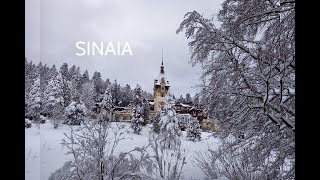 SINAIA  BASM DE IARNĂ 🤍 [upl. by Radley390]