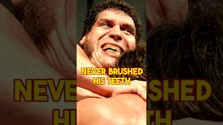 The Untold Truth Why Andre the Giant Never Brushed His Teeth andrethegiant shorts [upl. by Walston]