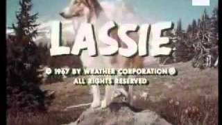 Sigle telefilm  LASSIE [upl. by Bisset]