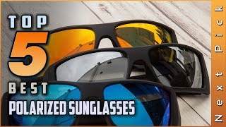 Top 5 Best Polarized Sunglasses Review in 2024 [upl. by Constantine]