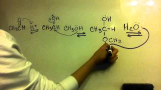 Acetal Formation from an Aldehyde  Mechanism [upl. by Draned]