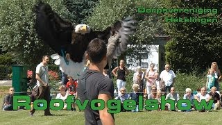 Roofvogelshow in Hekelingen [upl. by Reckford]