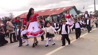 Desfile escolares nueva braunau puerto varas por la patria [upl. by Entruoc]