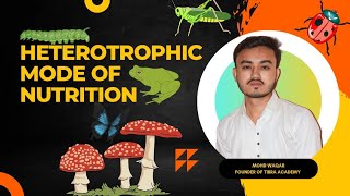 Heterotrophic Nutrition Life Processes 10th class CBSE Science heterotrophs heterotrophicnutrition [upl. by Sousa339]